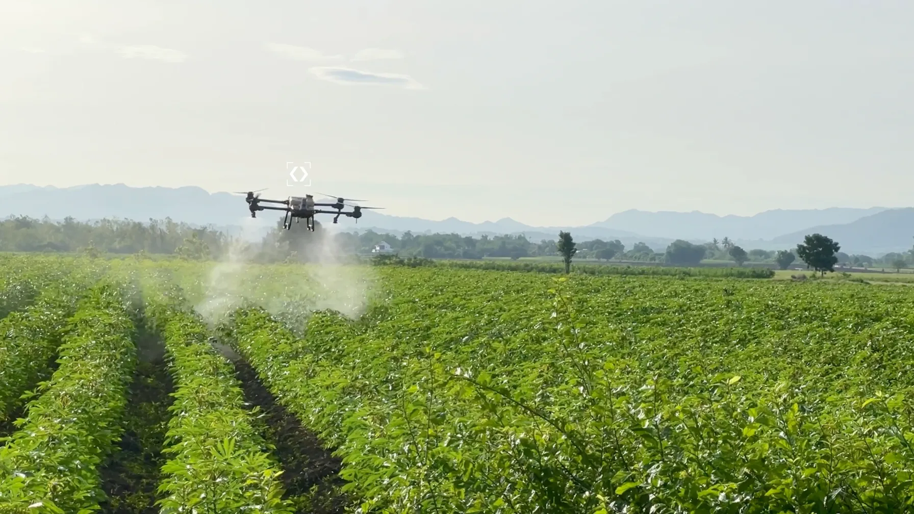 An autonomous agricultural drone spraying a crop field at dawn, tracked by a targeting marker